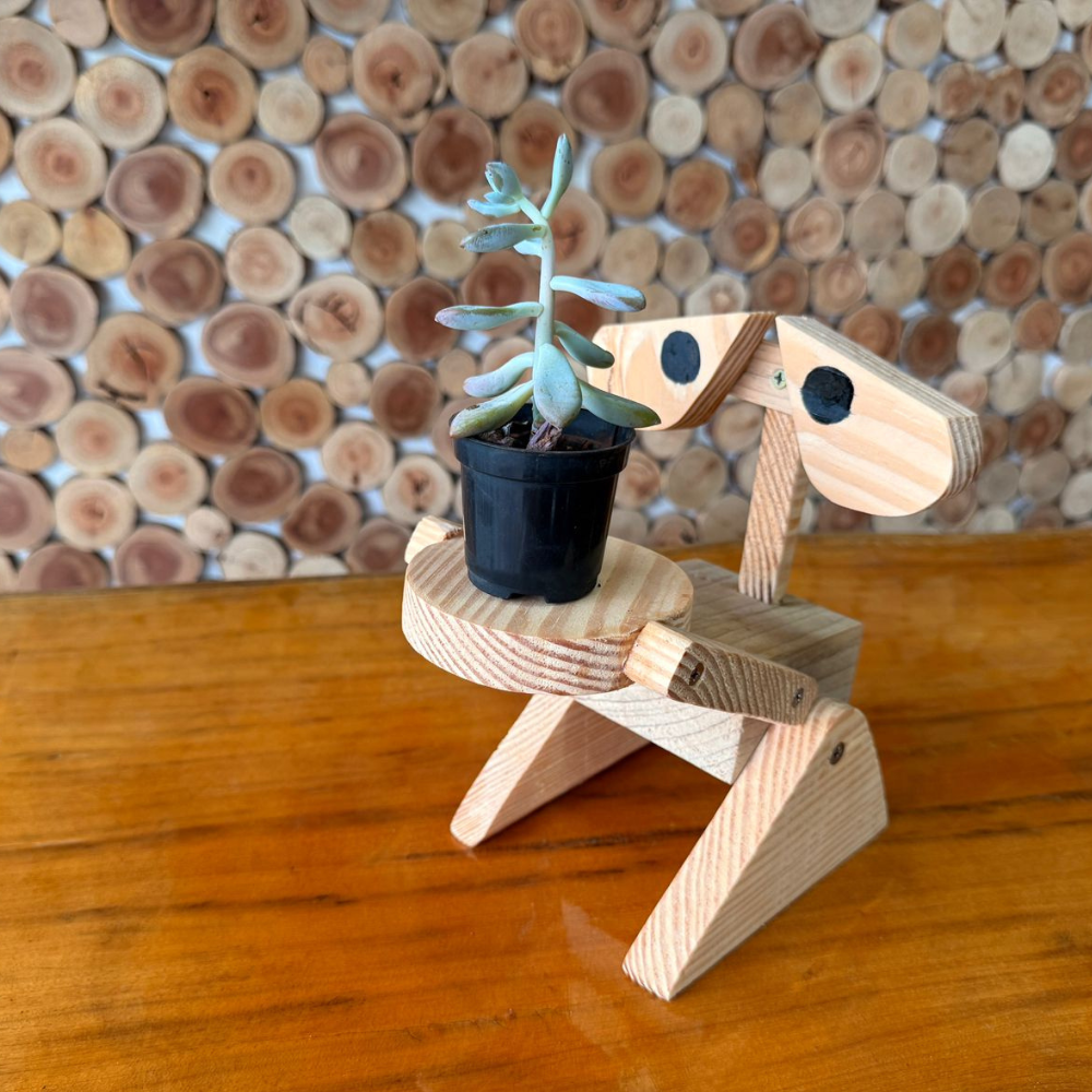 Porta Vaso Wall-e em estilo rústico, perfeito para decorar com pequenas flores, inspirado no famoso robô do filme.